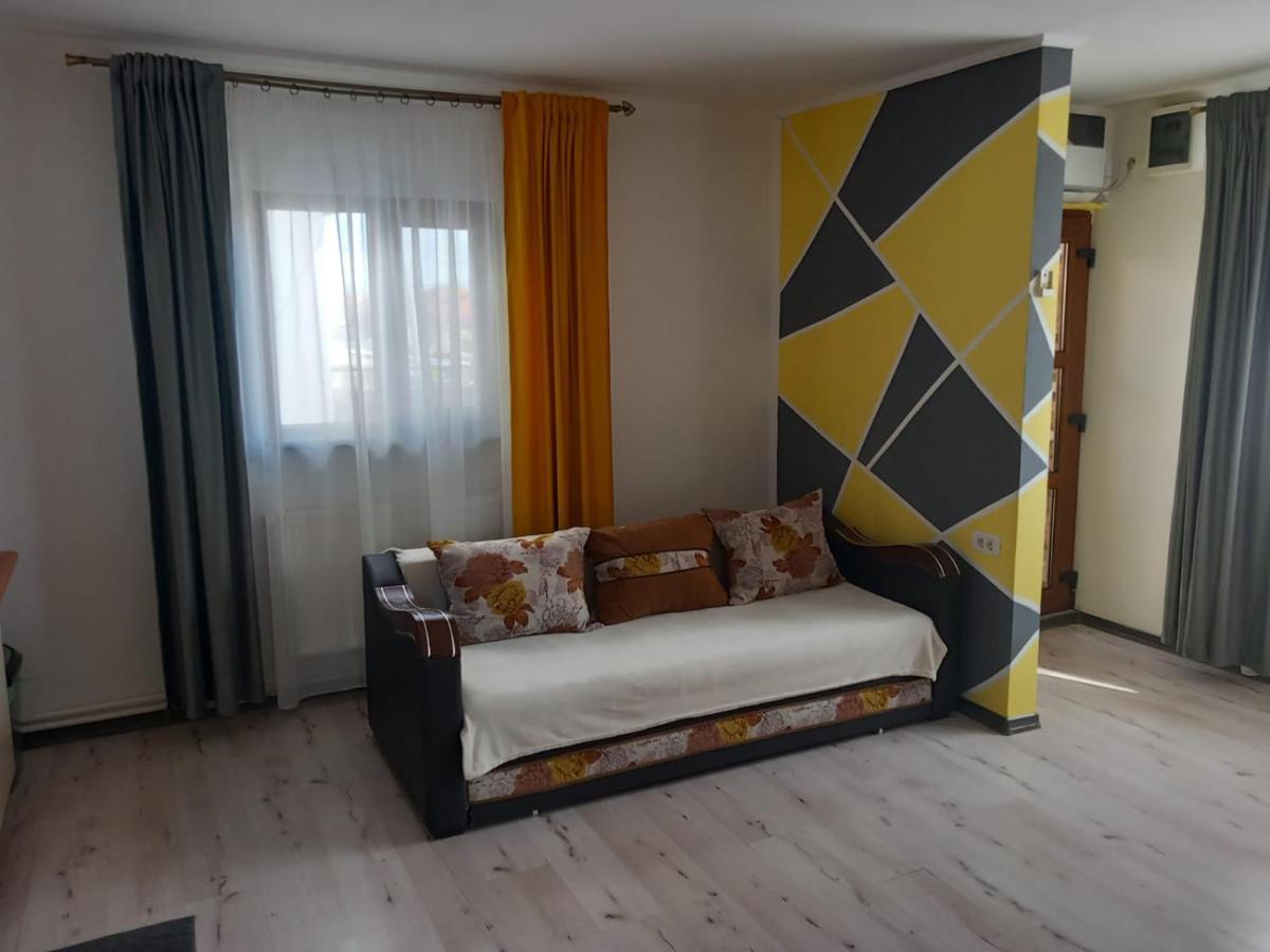 Ferienwohnung Casa Davison Târgu Jiu Exterior foto